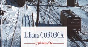 Coperta cărții „Capătul drumului” de Liliana Corobca, sursa foto: mediafax.ro